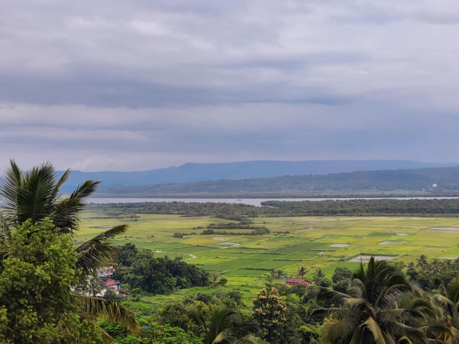 Whitehouse Homestay By Oxystays Hospitality アリバグ エクステリア 写真
