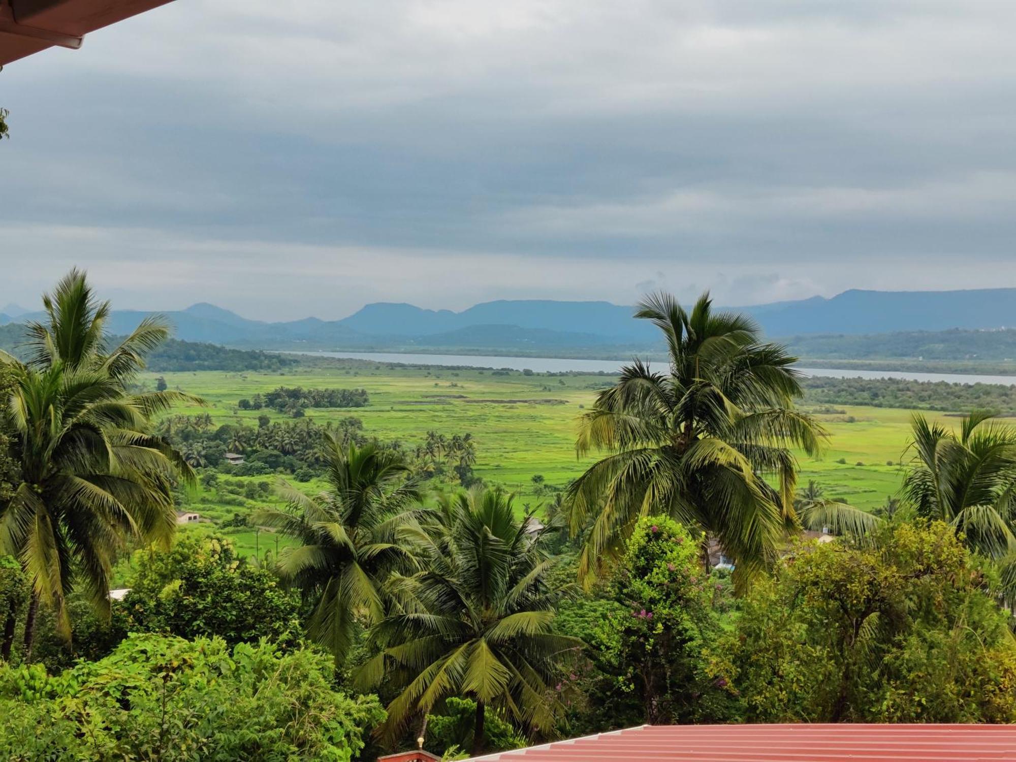 Whitehouse Homestay By Oxystays Hospitality アリバグ 部屋 写真